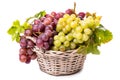 Bunches of white and pink grapes Royalty Free Stock Photo